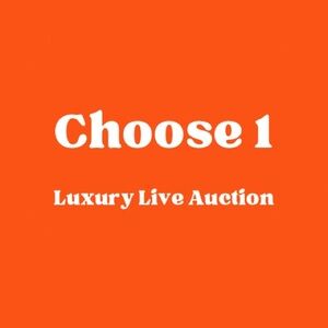 4.12.25 Saturday Pick 1 Live show Auction